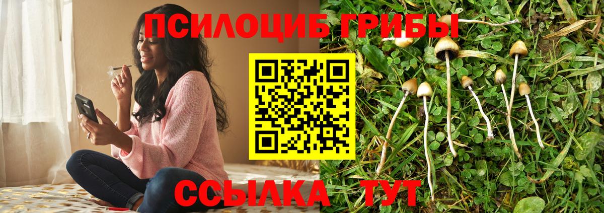 Меф кристаллы  ЭКСТАЗИ  Каннабис  Вход с VPN  Лянтор  ГАШИШ  НБОМе 