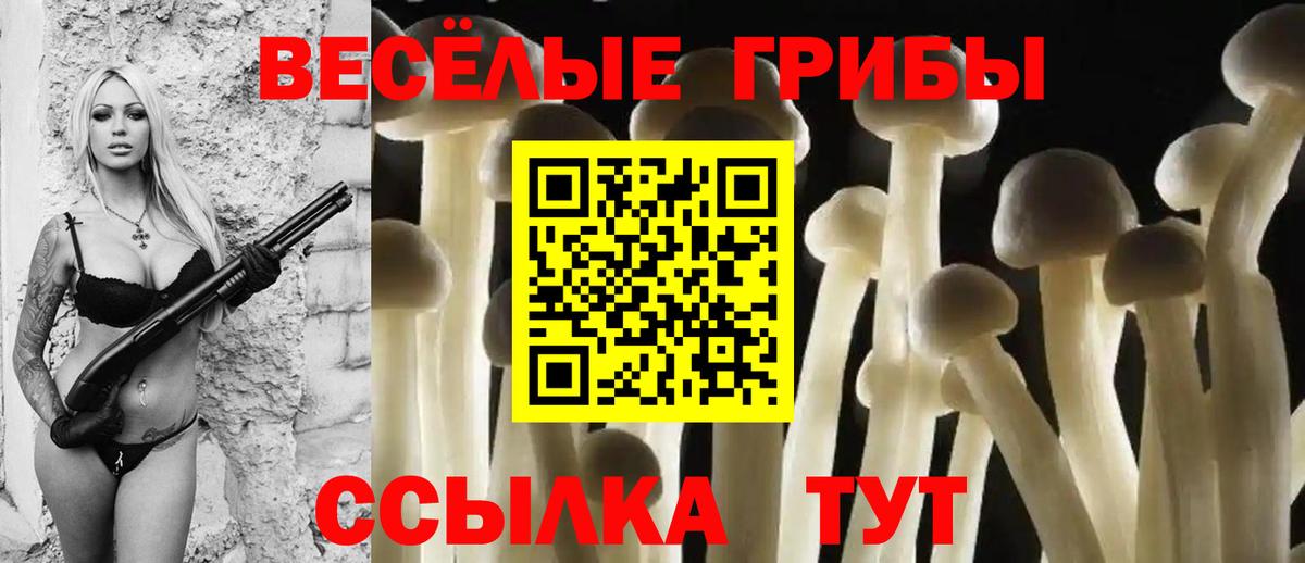 Псилоцибиновые грибы Psilocybine cubensis  Галлюциногенные грибы мицелий  Лянтор  цены наркотик  Вход с VPN 